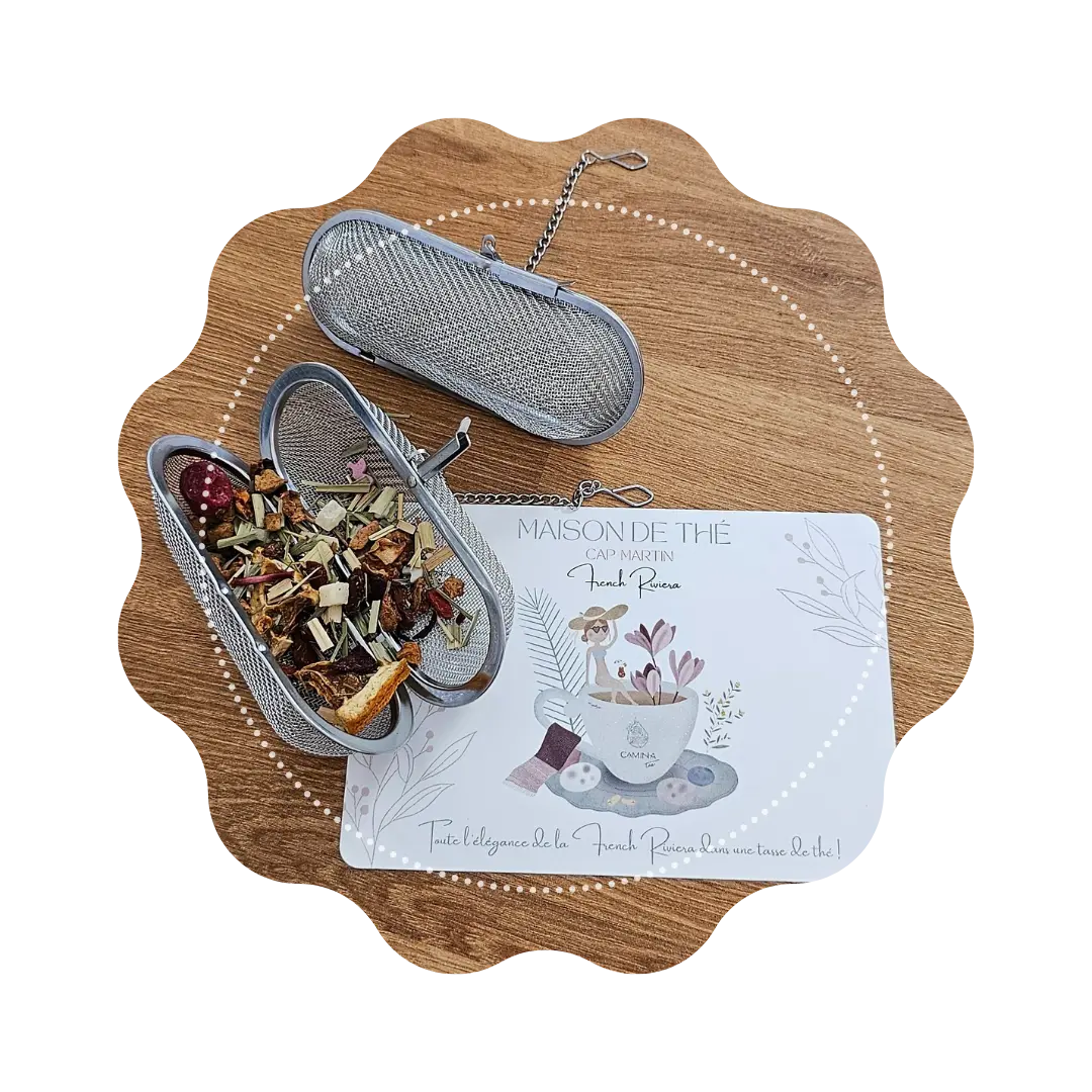 Infuseur Carafe Thé Glacé CaminaTea