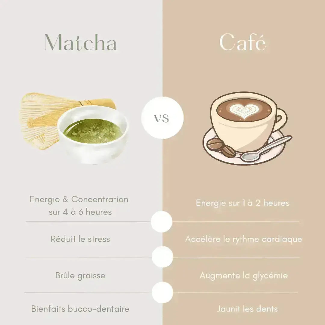Matcha Premium Bio 30 Gr CaminaTea