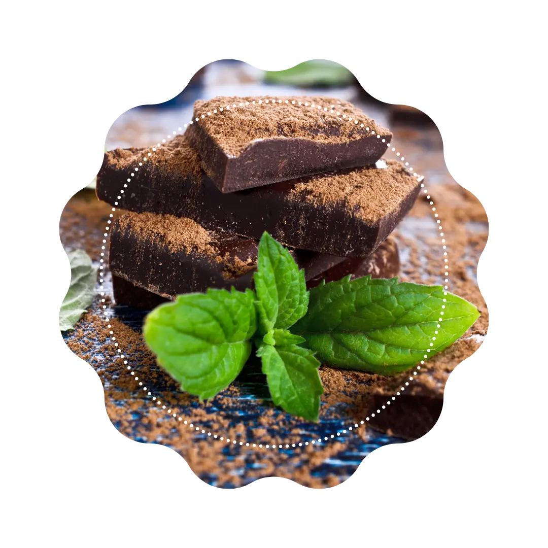 Choco Mint 🌱 CaminaTea