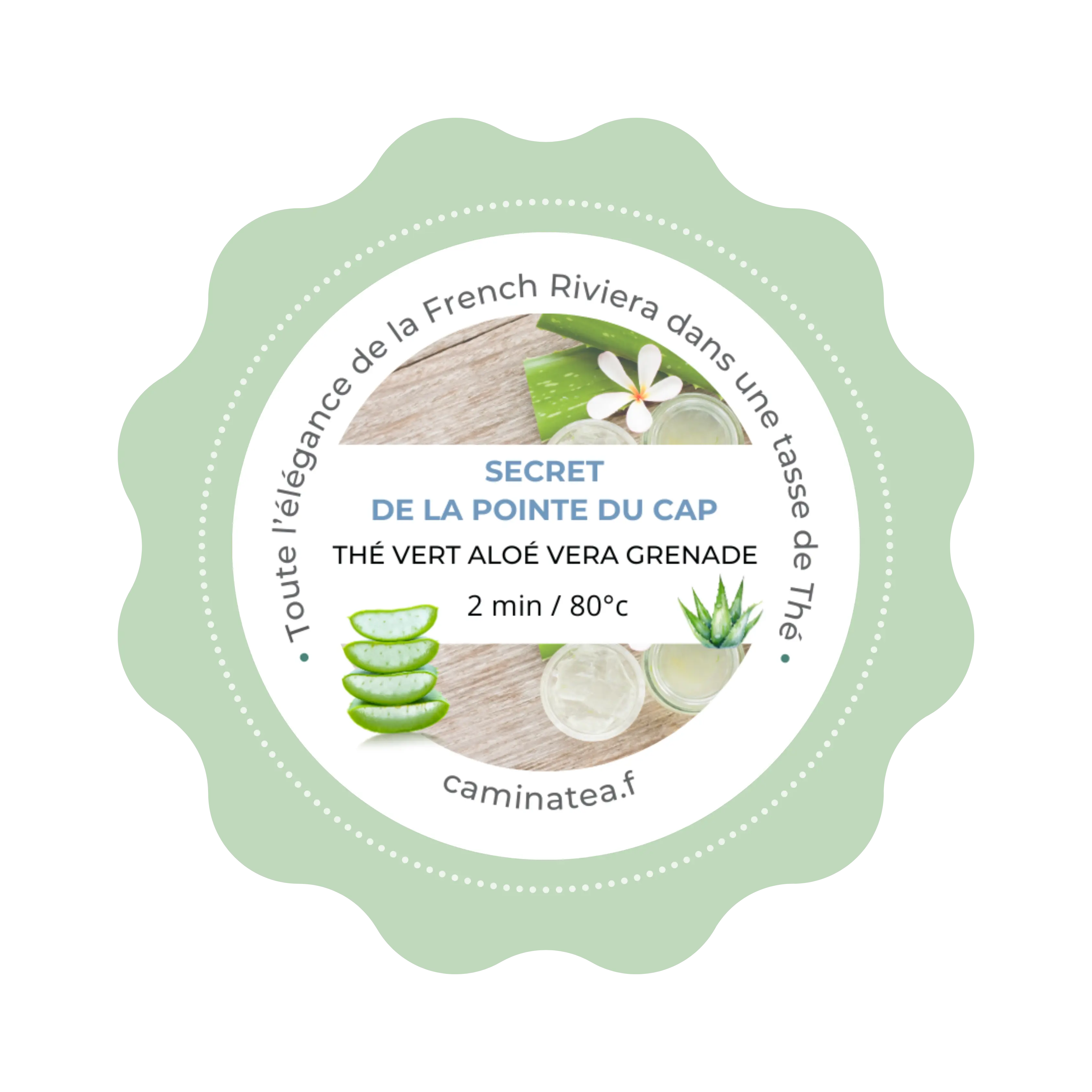 Thé Vert - Secret de la Pointe du Cap 🍃 CaminaTea