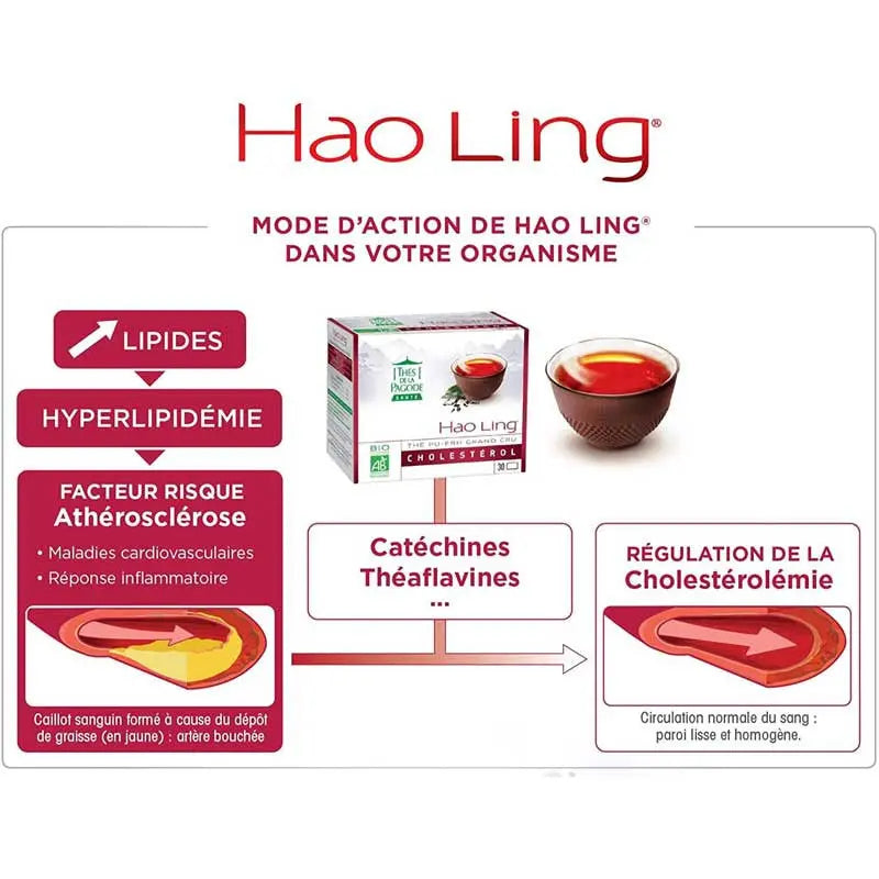 Hao Ling -Thé Pu-erh Cholestérol - 30 sachets CaminaTea
