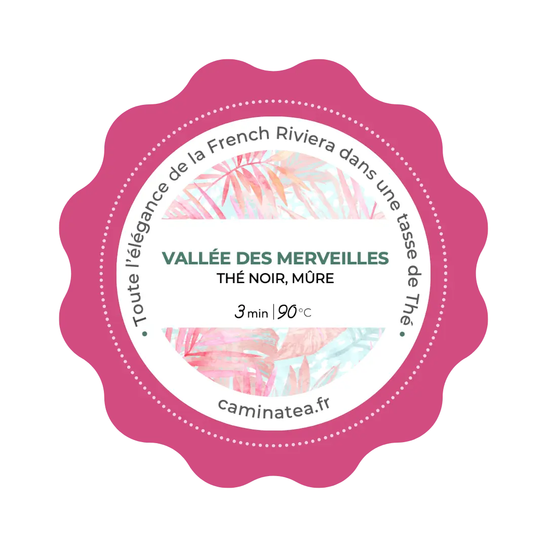 Vallée des Merveilles - CaminaTea