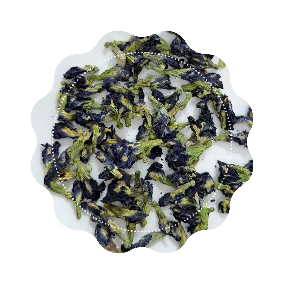 🌸 Butterfly Pea – Fleur Bleue d’Asie 🦋 CaminaTea