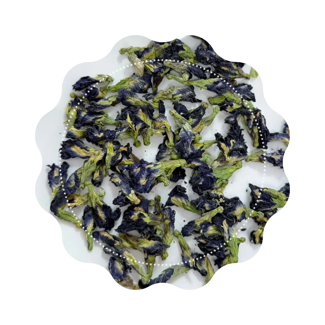 🌸 Butterfly Pea – Fleur Bleue d’Asie 🦋 CaminaTea