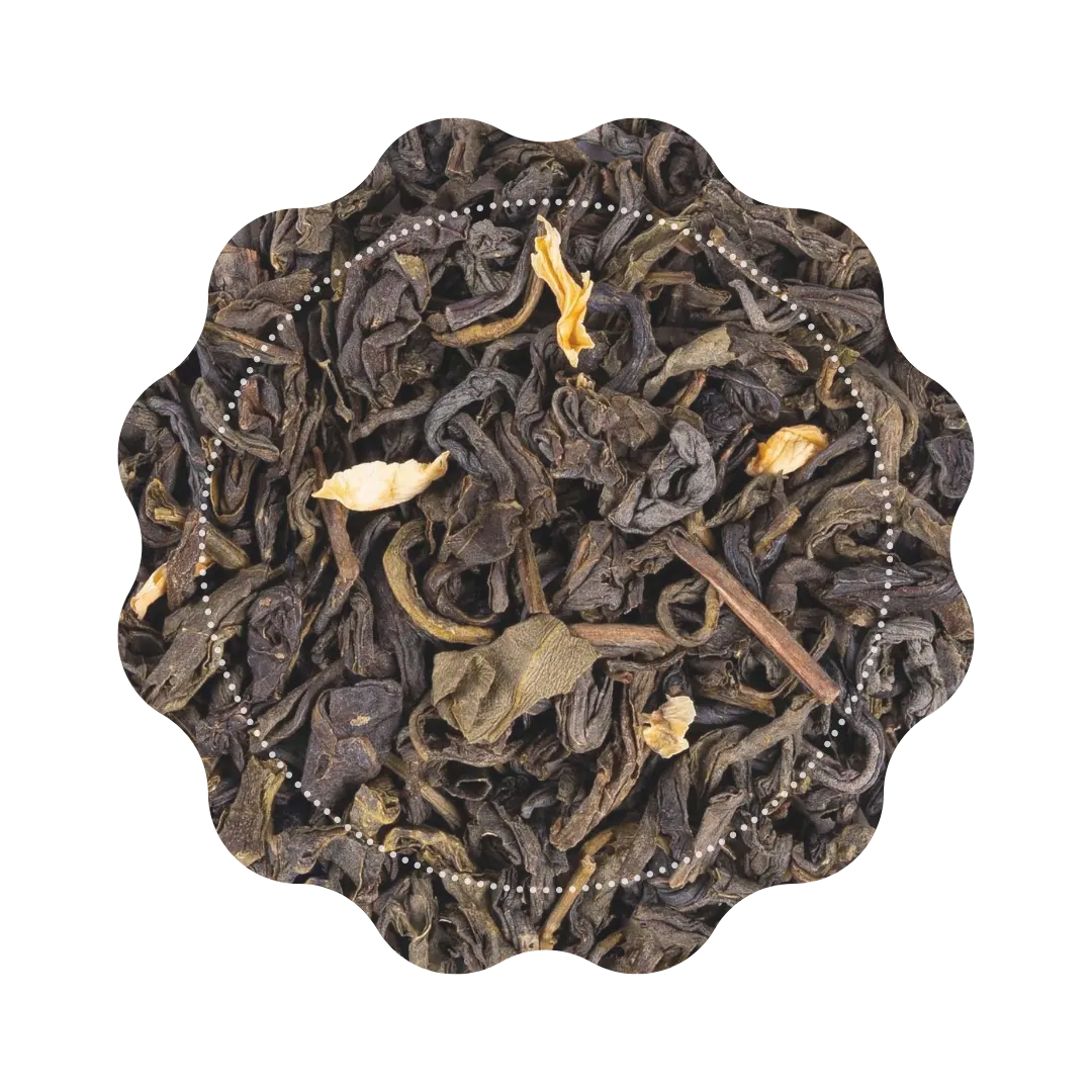 Jasmine Garden CaminaTea