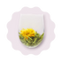 Fleur de Thé "Mangue" CaminaTea