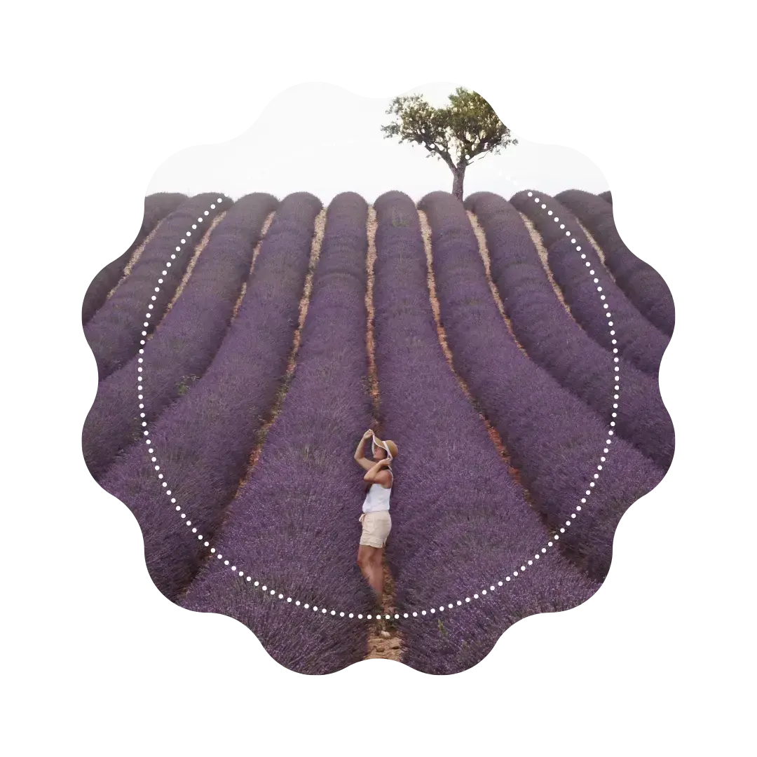 Infusion Apaisante - "Souffle de Lavande"🪻 CaminaTea