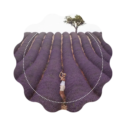 Infusion Apaisante - "Souffle de Lavande"🪻 CaminaTea