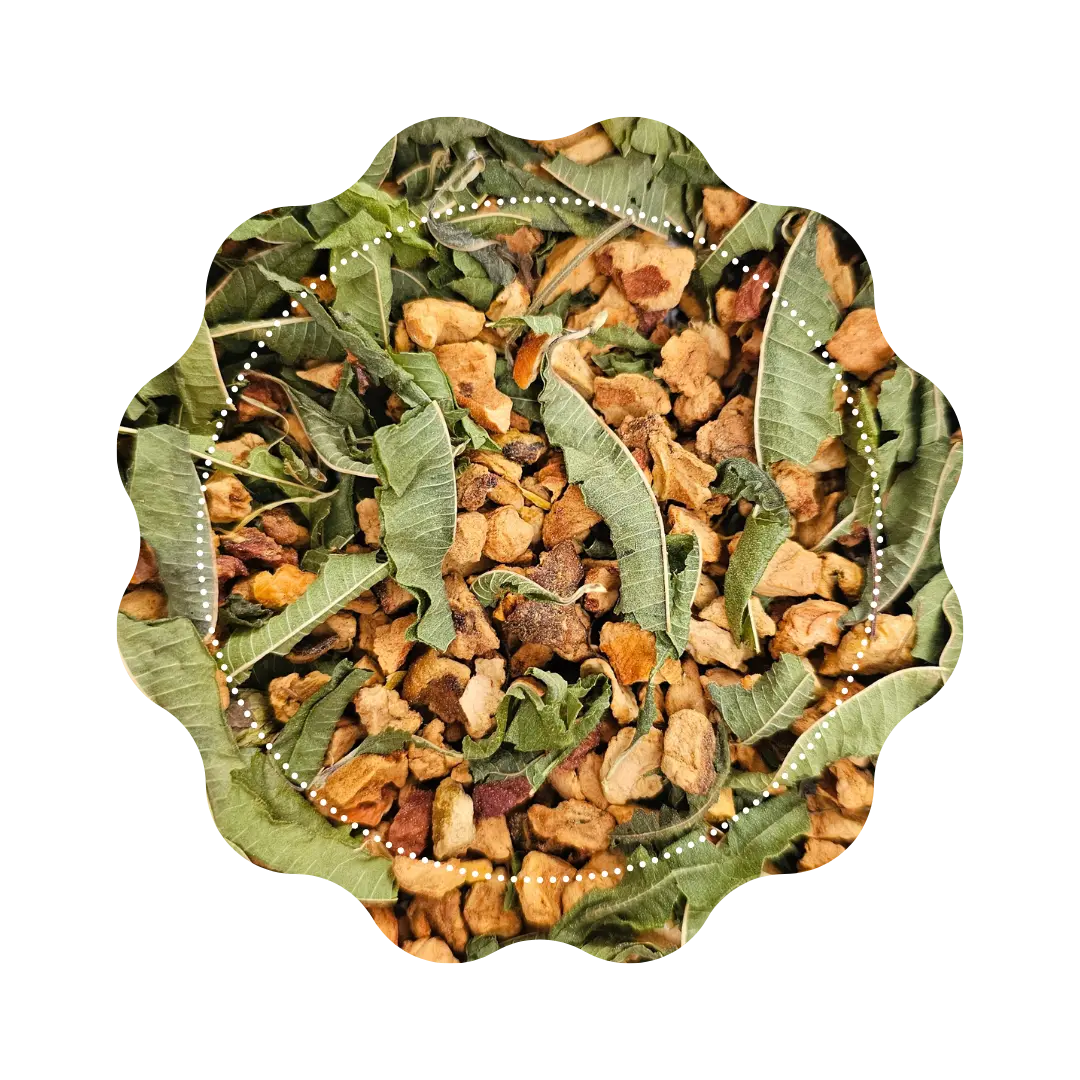 Infusion - "Jardin Mentonnais" 🌳🍊 CaminaTea