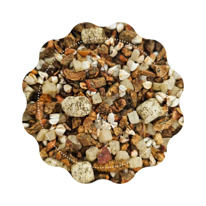 Infusion Fruitée - Miss Gourmandise 🍪🧁 CaminaTea