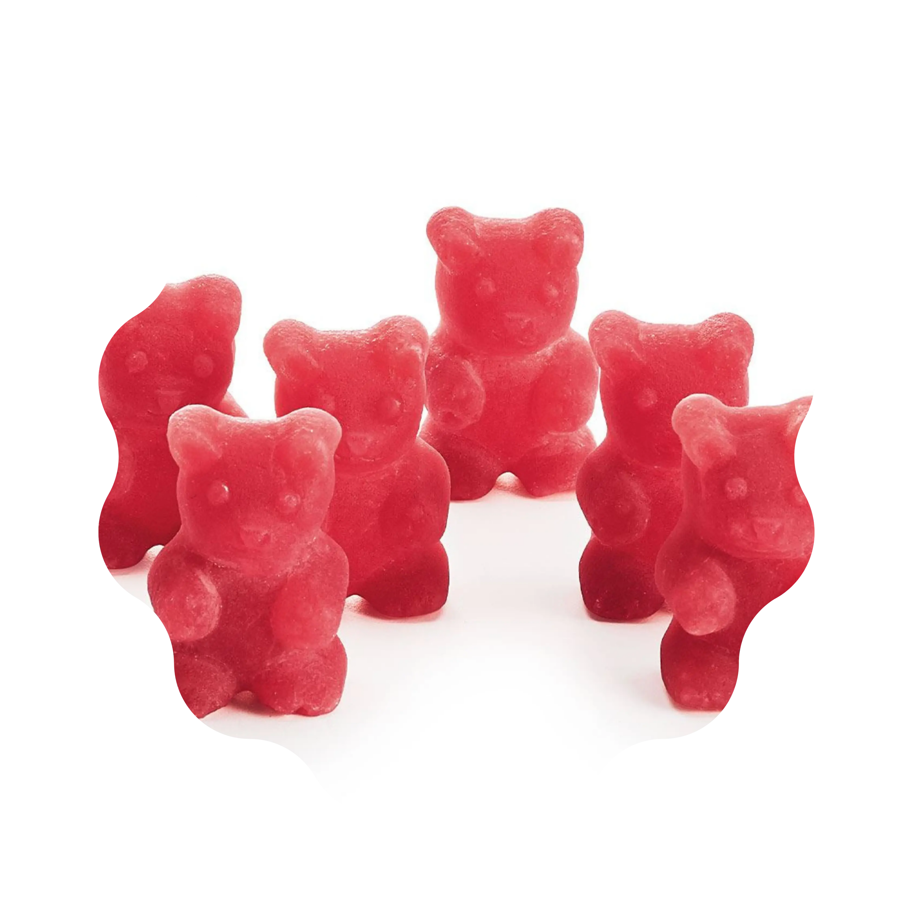 Ourson à infuser 🐻 CaminaTea