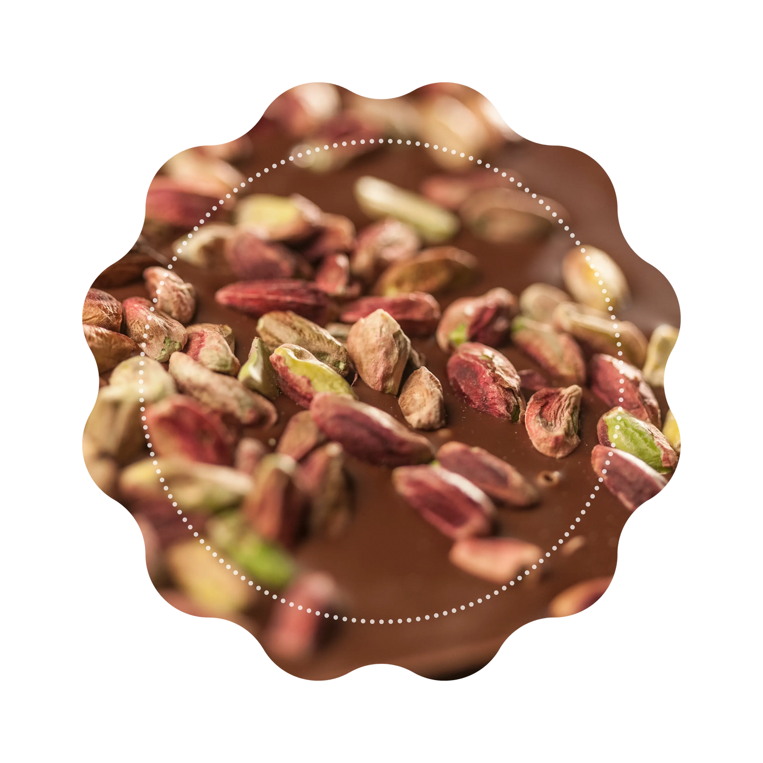 Thé Noir - Praline Lovers CaminaTea