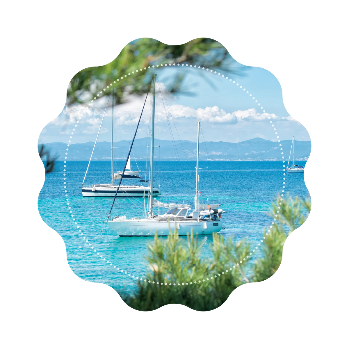 Thé Vert - Riviera Mango 🥭 CaminaTea
