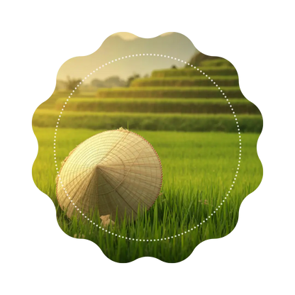 Thé Noir - Échapée Vietnamienne 🫖 CaminaTea