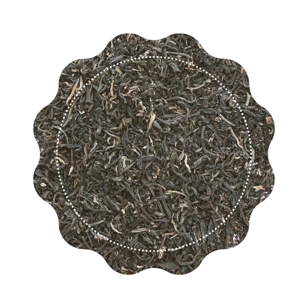 Thé Noir - Échapée Vietnamienne 🫖 CaminaTea