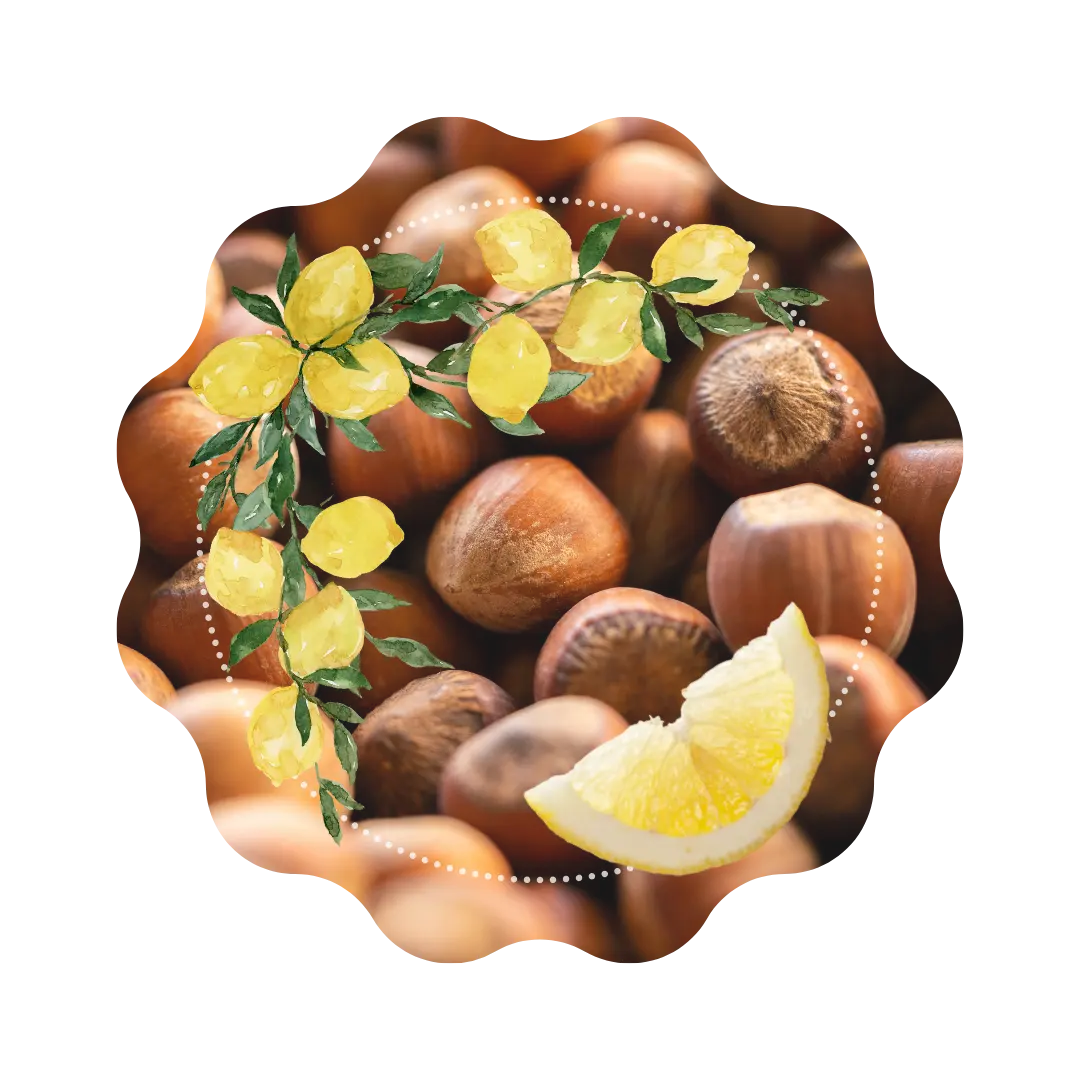 Thé Vert - Noisette Citronnée 🐿️ CaminaTea