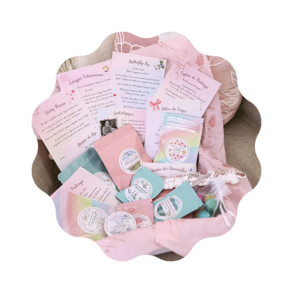 Voyage à travers les Saisons - Abonnement Annuel - 4 Box 🎀 CaminaTea