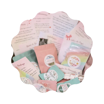 Voyage à travers les Saisons - Abonnement Annuel - 4 Box 🎀 CaminaTea