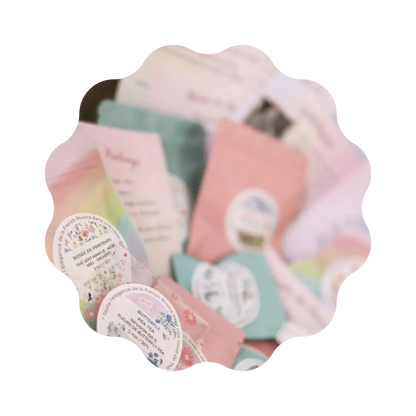 Voyage à travers les Saisons - Abonnement Annuel - 4 Box 🎀 CaminaTea